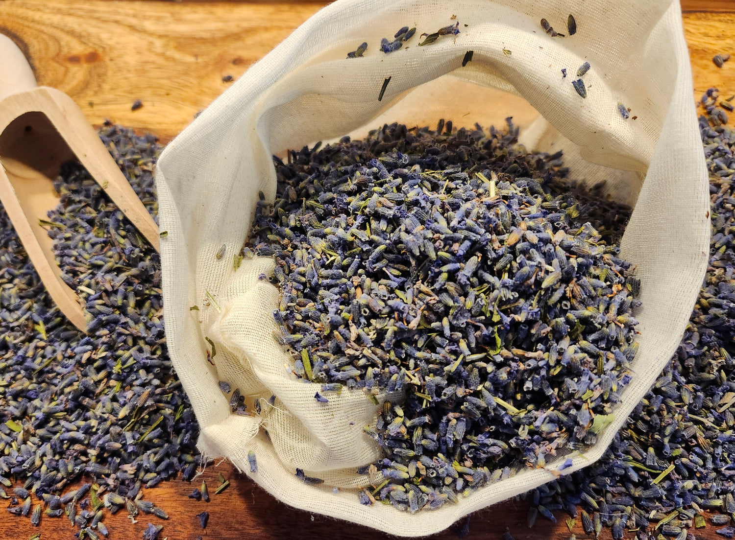 Lavender