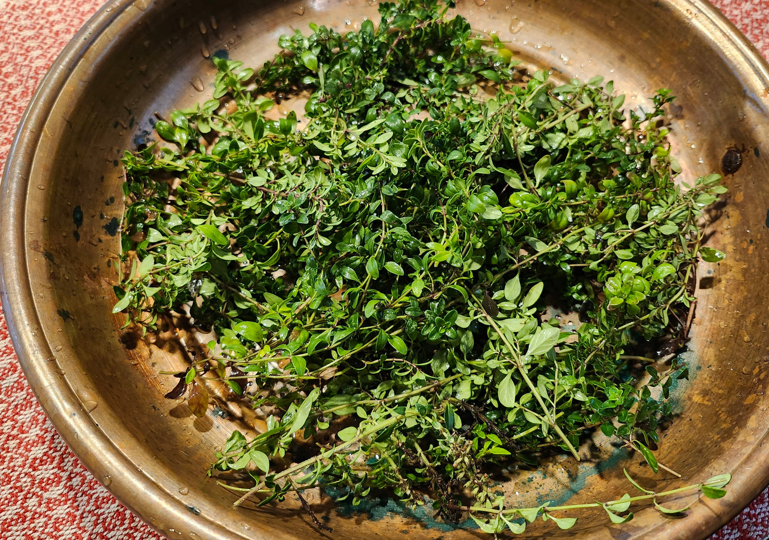 Thyme