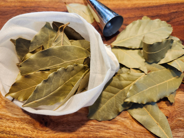 Bay Laurel