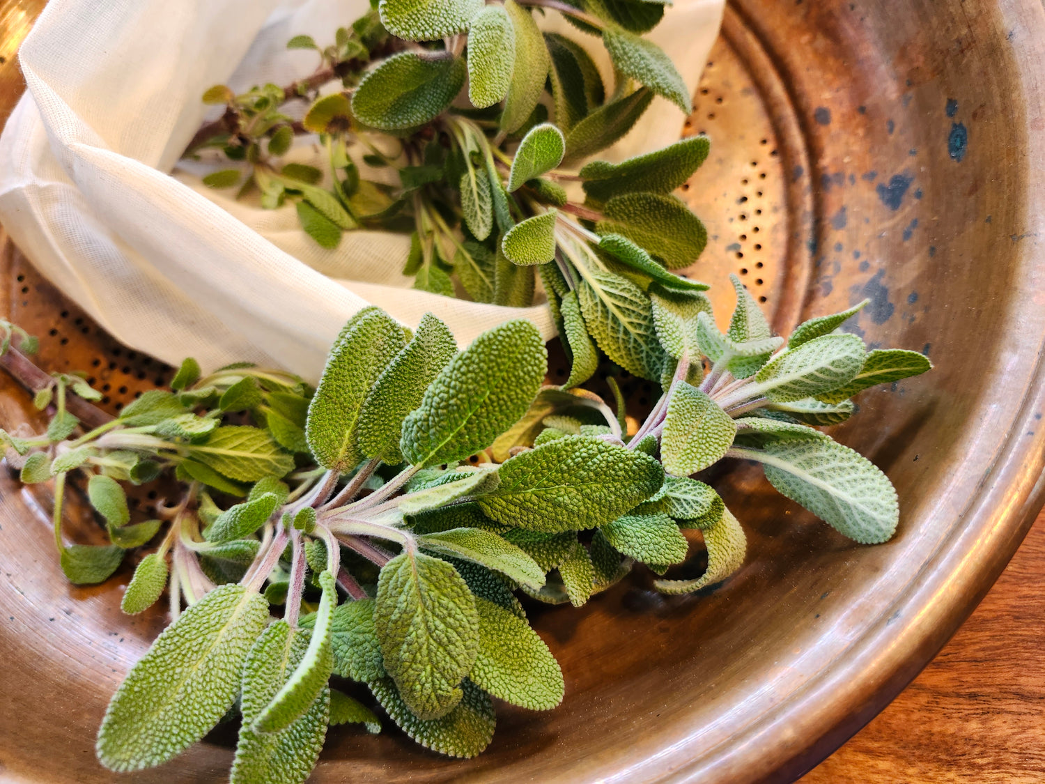 Sage