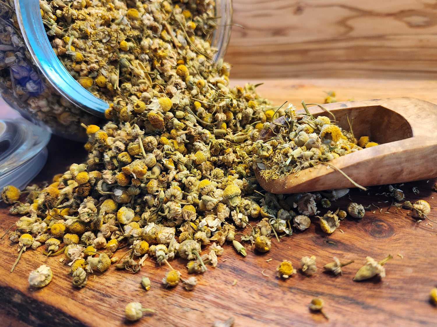 Chamomile