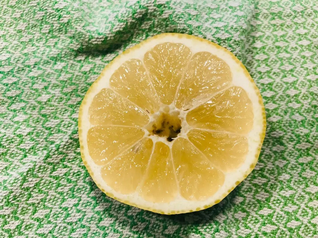 Lemon