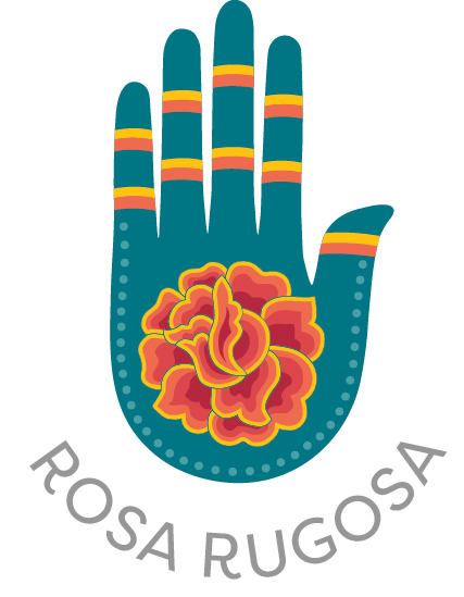 Rosa Rugosa Botanica